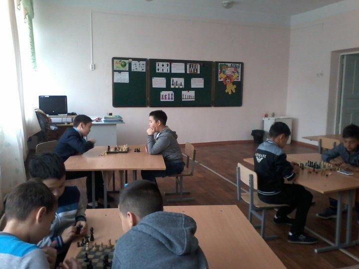 Шахматный турнир